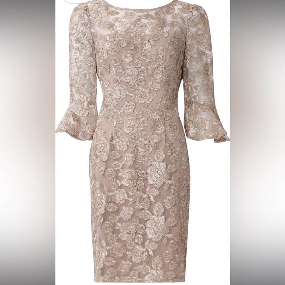 Adrianna Papell Rosie Embroidery Sheath Dress NWT sz 2 elegant wedding special